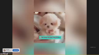 테스트6 썸네일
